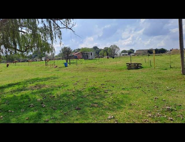 FARM FOR SALE IN MULLERSRUST